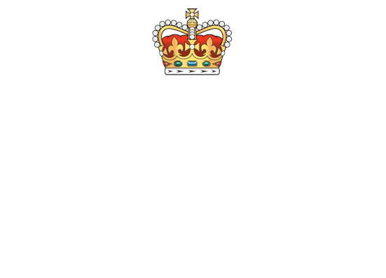 RIAT logo